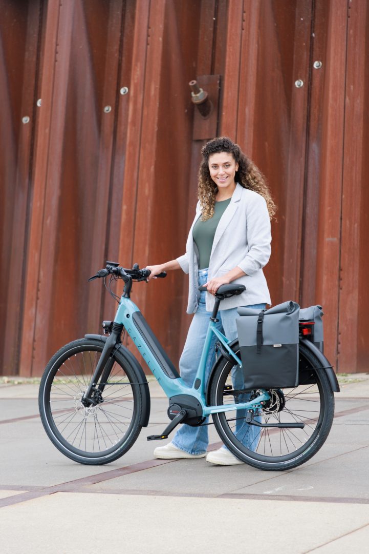 fietstassen-elektrische-fiets-390wfa-1.jpg Dubbele fietstassen | New Looxs | Ontdek de verschillende modellen - Afbeelding 1