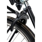 Ringslot | AXA | Ren 2 (Extra breed, Basic Safety)
